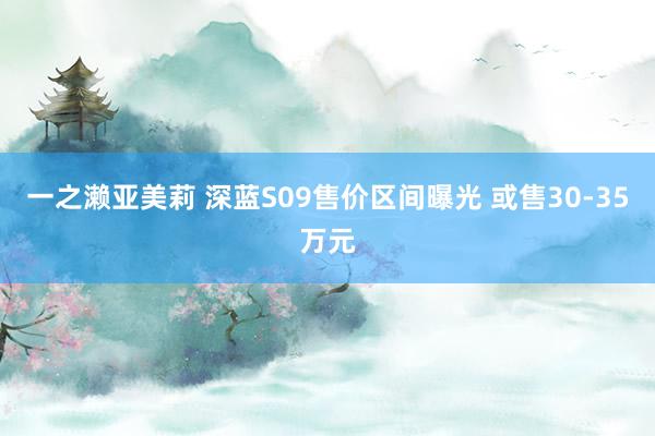 一之濑亚美莉 深蓝S09售价区间曝光 或售30-35万元