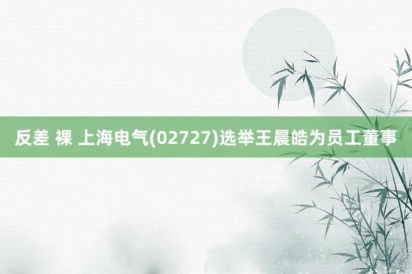 反差 裸 上海电气(02727)选举王晨皓为员工董事