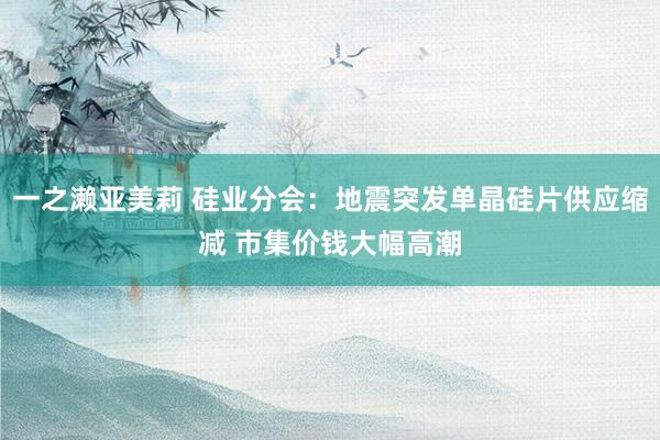一之濑亚美莉 硅业分会：地震突发单晶硅片供应缩减 市集价钱大幅高潮
