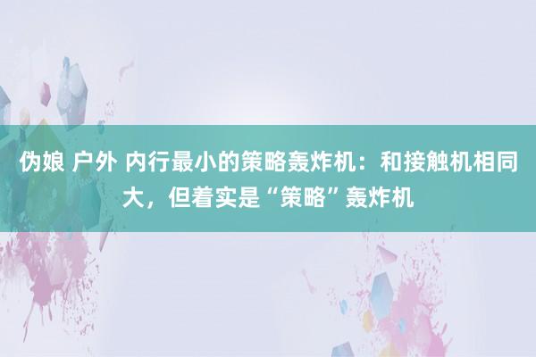 伪娘 户外 内行最小的策略轰炸机：和接触机相同大，但着实是“策略”轰炸机