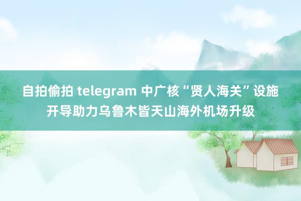 自拍偷拍 telegram 中广核“贤人海关”设施开导助力乌鲁木皆天山海外机场升级