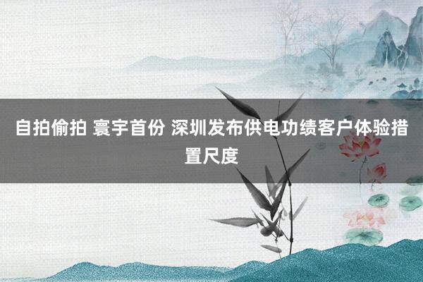自拍偷拍 寰宇首份 深圳发布供电功绩客户体验措置尺度