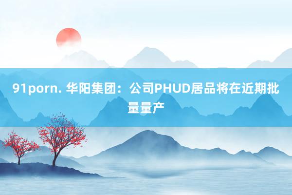 91porn. 华阳集团：公司PHUD居品将在近期批量量产