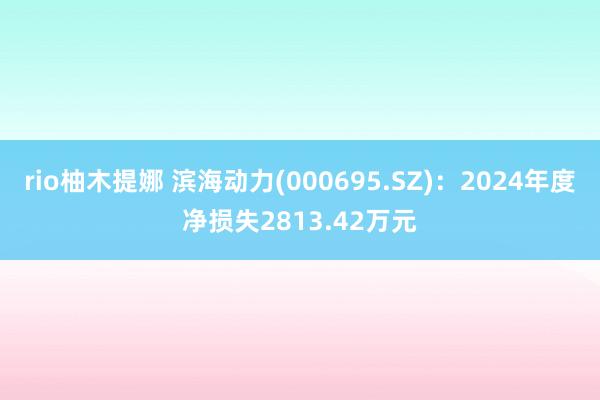 rio柚木提娜 滨海动力(000695.SZ)：2024年度净损失2813.42万元
