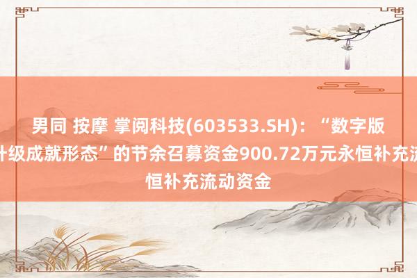 男同 按摩 掌阅科技(603533.SH)：“数字版权资源升级成就形态”的节余召募资金900.72万元永恒补充流动资金