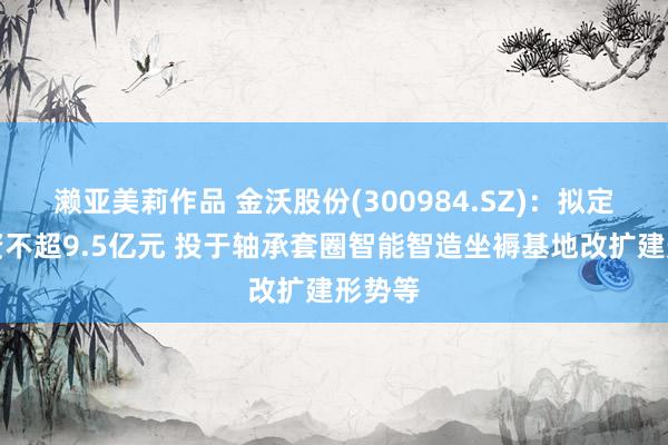 濑亚美莉作品 金沃股份(300984.SZ)：拟定增募资不超9.5亿元 投于轴承套圈智能智造坐褥基地改扩建形势等