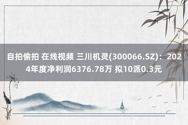 自拍偷拍 在线视频 三川机灵(300066.SZ)：2024年度净利润6376.78万 拟10派0.3元