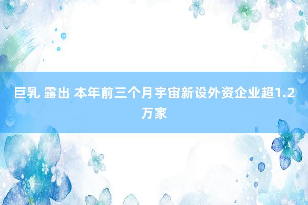巨乳 露出 本年前三个月宇宙新设外资企业超1.2万家