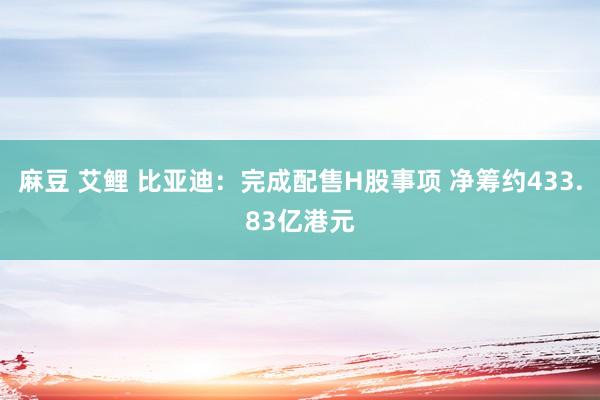 麻豆 艾鲤 比亚迪：完成配售H股事项 净筹约433.83亿港元
