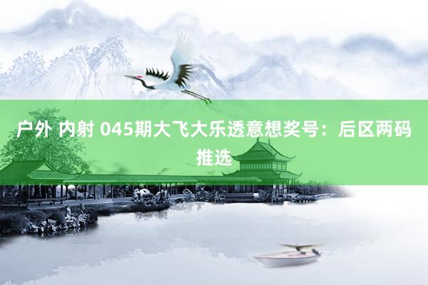 户外 内射 045期大飞大乐透意想奖号：后区两码推选