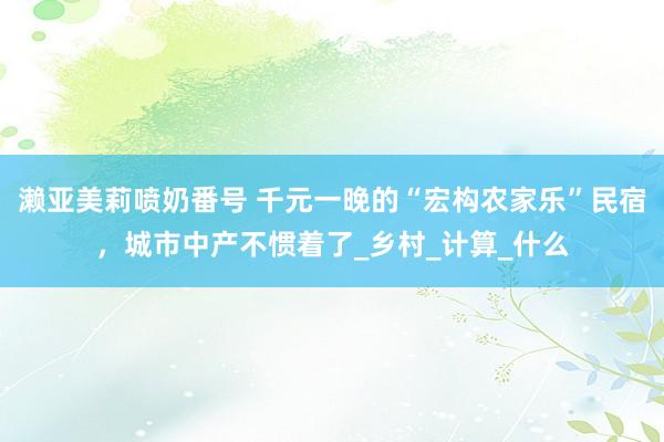 濑亚美莉喷奶番号 千元一晚的“宏构农家乐”民宿，城市中产不惯着了_乡村_计算_什么