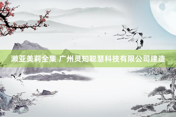 濑亚美莉全集 广州灵知聪慧科技有限公司建造