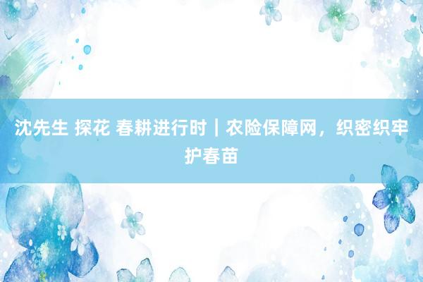 沈先生 探花 春耕进行时｜农险保障网，织密织牢护春苗