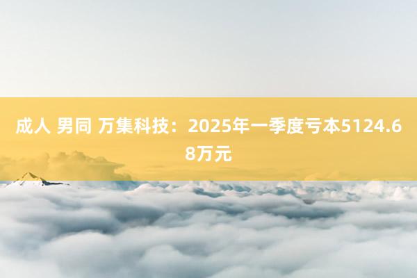 成人 男同 万集科技：2025年一季度亏本5124.68万元