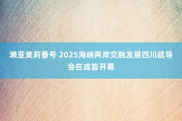 濑亚美莉番号 2025海峡两岸交融发展四川疏导会在成皆开幕