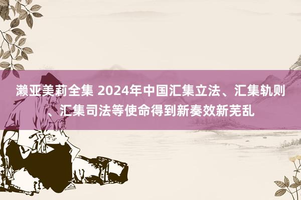 濑亚美莉全集 2024年中国汇集立法、汇集轨则、汇集司法等使命得到新奏效新芜乱