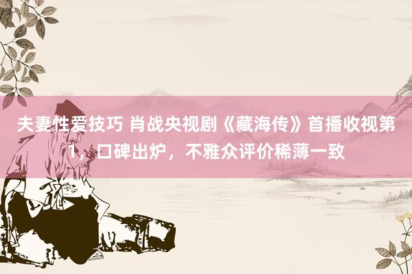 夫妻性爱技巧 肖战央视剧《藏海传》首播收视第1，口碑出炉，不雅众评价稀薄一致